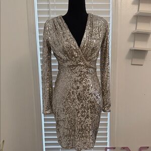 Express Silver Sequin Long Sleeve Dress